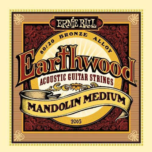 Earthwood Mandolin Medium Loop End 80/20 Bronze Acoustic Guitar Strings 10-36 Gauge – South Coast Music
