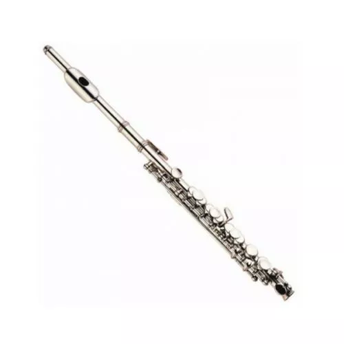 Fontaine Piccolo - FBW161 C Silver Plated Body – South Coast Music