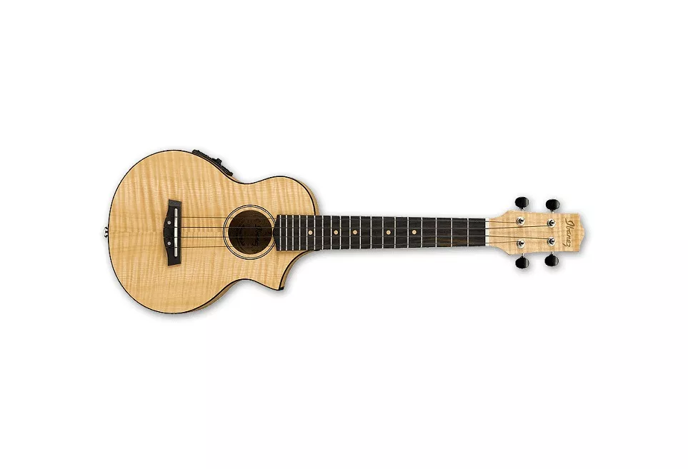 IBANEZ UEW12E Electric Ukulele Cutaway Concert Style Exotic Wood with Flamed Maple Top – South Coast Music