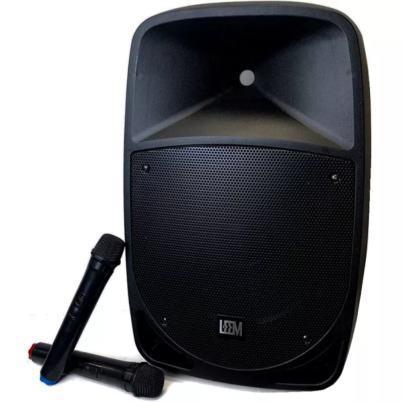Leem 12 Inch Portable PA UHF Wireless Mics x2