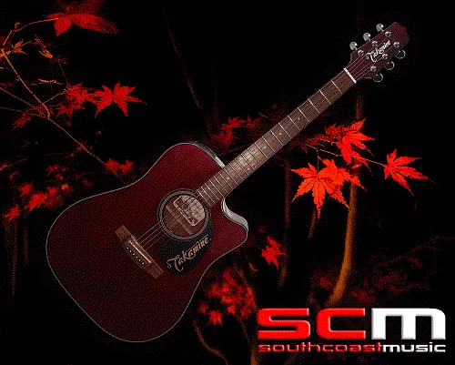 Takamine EF340SC STR Cutaway Acoustic-Electric Guitar Translucent Red Finish Made in Japan – South Coast Music